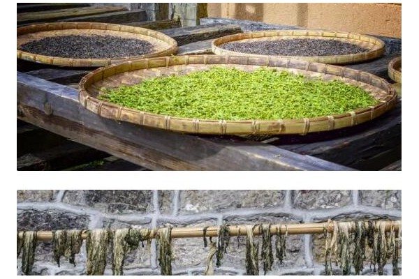 這4種廉價蔬菜曬干后，營養翻10倍！放1年不